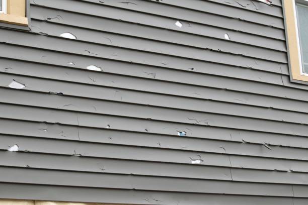 Affordable siding repair and maintenance services in Rhinelander, WI